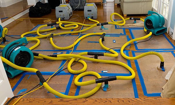 Professional Structural Drying And Dehumidification technician working in McKean, PA